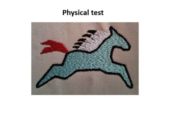 Native Horse Embroidery Design Review for Boutique Sweatshirts